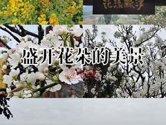 -中国天府农业博览园