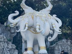 -西双版纳勐泐文化旅游区