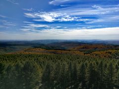 -塞罕坝国家级自然保护区