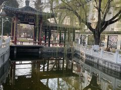 -桃花堤公园