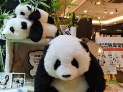 -轩客会(熊猫书店)
