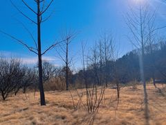 -北京西山国家森林公园