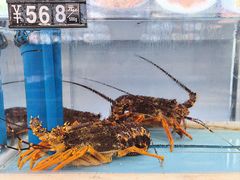 -莆鑫海鲜城(浏河店)