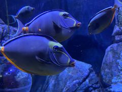 -成都浩海立方海洋公园