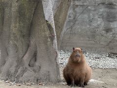 -成都欢乐谷