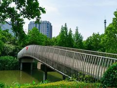 -南翔镇银翔湖公园