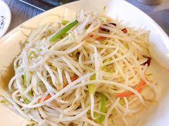 没味道的酸辣小豆芽-福苗小骆驼烧烤(莲湖路店)