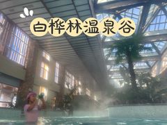-白桦林温泉谷