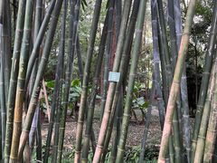 -成都杜甫草堂博物馆