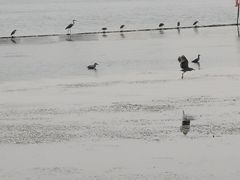 -金银湖国家城市湿地公园