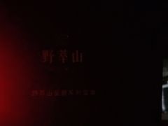 -野萃山·潮汕厚果汁(十亩地店)