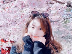 -大宁郁金香公园-停车场