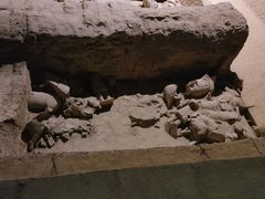 -秦始皇帝陵博物院(兵马俑)