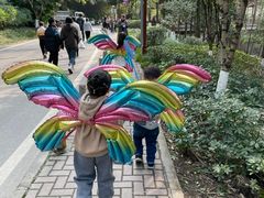 -重庆彩云湖湿地公园
