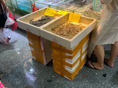 水产区-珠光市场(文德南路)