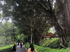 -东部华侨城