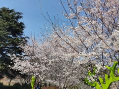-北岭山森林公园