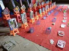 -南宫五洲植物乐园