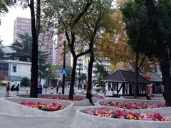 -中山公园