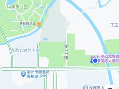-常州环球恐龙城维景国际大酒店