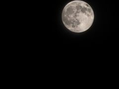 -兴城海滨风景区