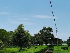 -呈贡滇池生态湿地公园