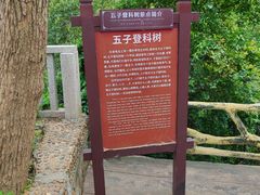 -石燕湖生态旅游景区