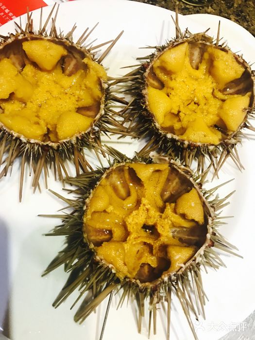 正黄旗海鲜烧烤大排档(延安路店)生吃海胆图片