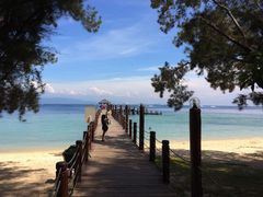 -东姑阿都拉曼海洋公园