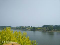 -东郊湿地公园