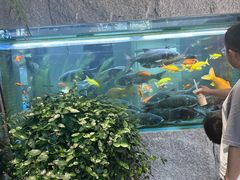 -又见炊烟私房菜(敬亭路店)