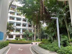 -深圳华侨城医院