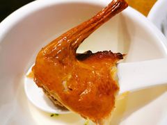 红烧鸽-大鸽饭(岗顶店)