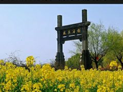 -杏花村文化旅游区