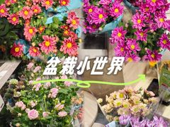 -大润发(花都店)