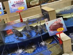 -海景壹号大酒店(滨湖店)