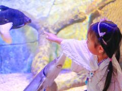 -沈阳海洋探索中心