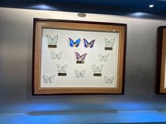 -上海昆虫博物馆