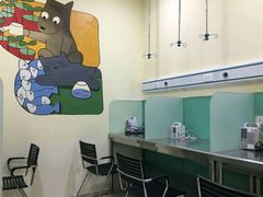 -米苏动物医院·犬猫专科·骨科外科内窥镜