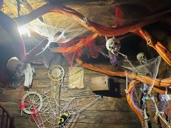 -青岛嘉年华主题乐园