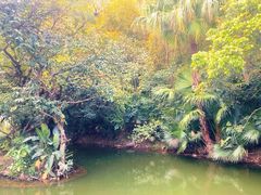 -人民公园(罗湖区)