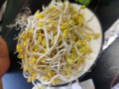 -秦巴石锅鱼