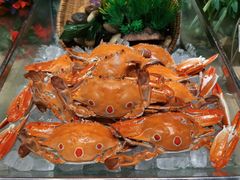 -圣廷苑酒店·廷韵咖啡厅(深圳中洲圣廷苑酒店)