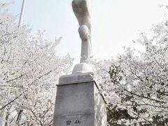 -武汉大学-樱园