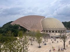 -牛首山文化旅游区