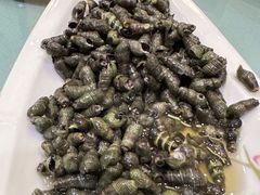 小螺-超越海鲜屋(飞龙物业店)