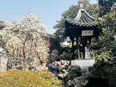 -何园