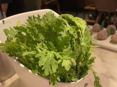 -同仁四季椰子鸡(福田东园总店)