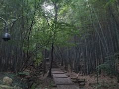 -穹窿山景区
