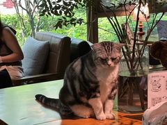 -咖法森林·咖啡  酒吧(天河店)